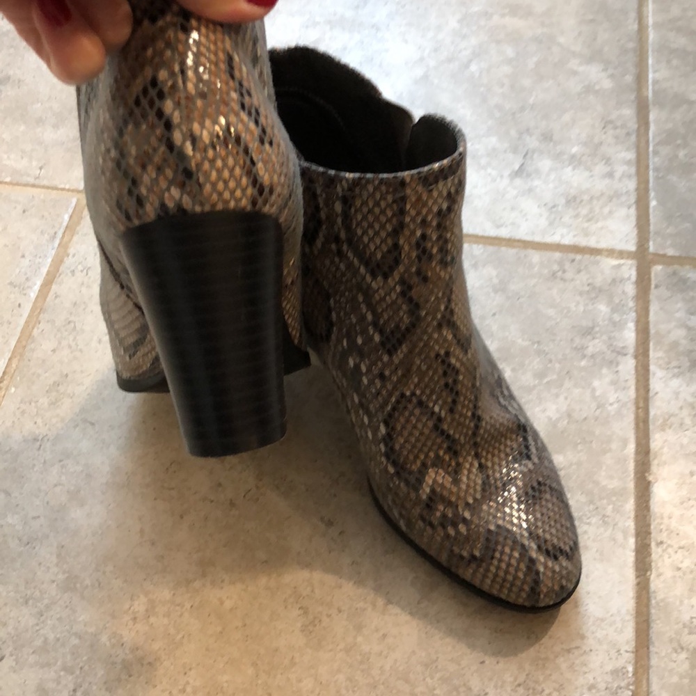 Snake Print Booties - image 4